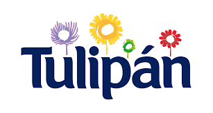 Tulipán